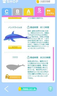 中学の歴史 公民ですかね有名な思想家モンテスキュー ロック ルソーのキ Yahoo 知恵袋