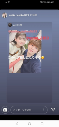 あみ か 兄弟 こたつ