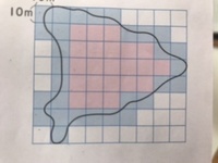 6年の算数です およその面積青い方眼 を2個で100m2と考えて Yahoo 知恵袋
