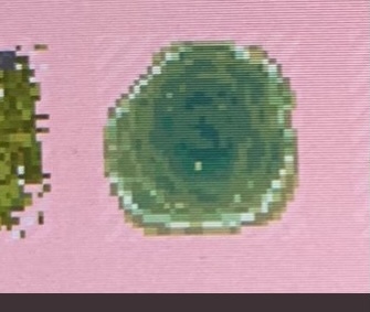 あつまれどうぶつの森のこちらの水たまりのマイデザイン探してます わかる方 よろ Yahoo 知恵袋