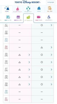 ディズニーチケット販売状況のサイトで棒線の日はどういう状況ということなのでしょ Yahoo 知恵袋