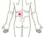 腰の左上に固いしこりのようなものができています 表面を軽く押すとゴリゴリ Yahoo 知恵袋