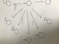 有機化学でシクロヘキサノンの反応を考える問題なのですが に用いる反応試薬及 Yahoo 知恵袋