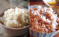 左「玄米」右「雑穀米」２択のうち食べるとしたらどっち？ 