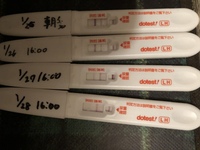 排卵日はいつでしょうか 28日頃であっていますか そうですね 1 2 Yahoo 知恵袋