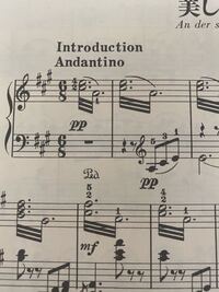 青く美しきドナウという曲をピアノで弾こうと思い 楽譜をみたところ白丸の付点32 Yahoo 知恵袋