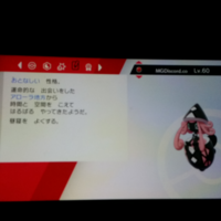 剣盾 あかいいと 両方に持たせる