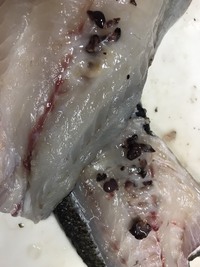 魚の身の黒い部分 鯖とかブリにたくさんありますがあれは Yahoo 知恵袋
