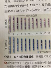 高校生物２ｎ ６の生物が作る生殖細胞には 乗換えが起こらなかった場合 Yahoo 知恵袋