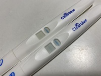 クリアブルー妊娠検査薬について妊活中のものです 本日高温期11日目で Yahoo 知恵袋