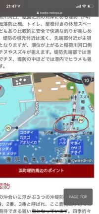 鹿児島のとある堤防ですが 河口が近い所のチヌはまずいのでしょうか このような場 Yahoo 知恵袋