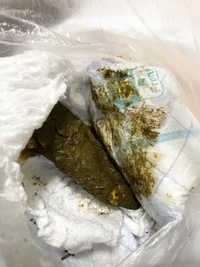 子供のウンチが濃い緑で出てきました 昨日から 下痢と まではいかないけれど Yahoo 知恵袋