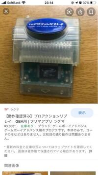 Gba用のプロアクションリプレイは初代dsまたはdsライトにスロット Yahoo 知恵袋