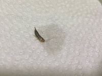 仙台駅 石巻市は 下道では車で 何分の距離てますか 国道45号 Yahoo 知恵袋