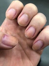 人狼ゲームの市民人狼騎士占い師でやるときのコツを役職別で教えてください Yahoo 知恵袋