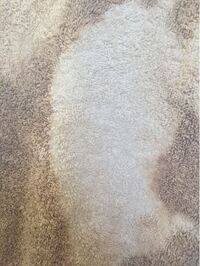 塩素系漂白剤に漬け込むと マダラに色抜けします黒ずんでしまったタオルを漂白 Yahoo 知恵袋