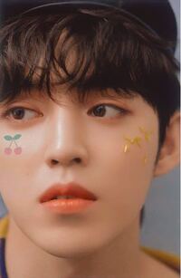 Seventeenセブチ写真 この舞い落ちる花びらの写真ってどこで保存でき Yahoo 知恵袋