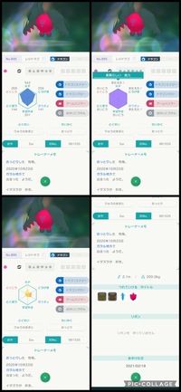 レベル進化を条件とするポケモンが レベル１００以上になっても進化できる方 Yahoo 知恵袋