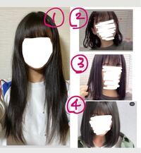 男の髪切りに行く頻度はどれくらいに１回ですか 平均はどれくらい Yahoo 知恵袋