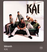 Exoのカイって整形してるのでしょうか 二重の幅が広いような 今より昔のほう Yahoo 知恵袋