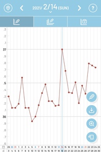 妊娠検査薬陽性ですが 不安です 排卵検査薬から排卵日は2月12日頃だ Yahoo 知恵袋