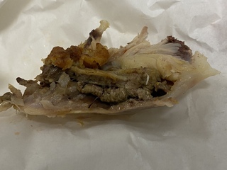 ケンタッキーでフライドチキンを買ったのですが リブ の部分を食 Yahoo 知恵袋