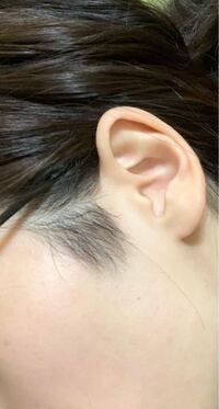 一度もみあげを全剃りしてしまい どうしていいか分かりません ᵕ Yahoo Beauty