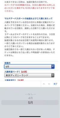 購入済みチケット対象の 12月より開始のディズニーリゾート抽選チケッ Yahoo 知恵袋