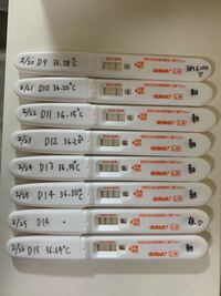 排卵出血 について教えてください 妊活中の３２歳です 基礎体温 Yahoo 知恵袋