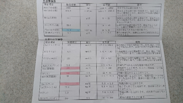 イヌ すべての質問 Yahoo 知恵袋