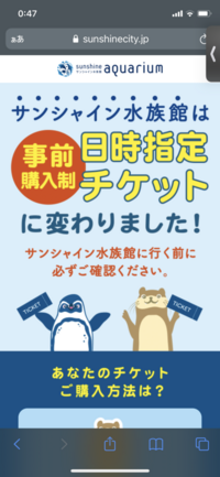 この時期にサンシャイン水族館へ行った方に質問です 当方 1度も Yahoo 知恵袋