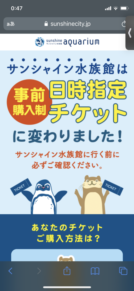 この時期にサンシャイン水族館へ行った方に質問です。 - 当方、1度も... - Yahoo!知恵袋