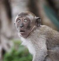 かっこいい別れ方とは 大喜利で 金はケチらない Yahoo 知恵袋