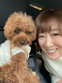 内海和子の犬かわいいよね 内海和子がかわいい Yahoo 知恵袋