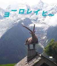 大喜利です アルプスの少女ハイジ に登場するアイベックスは 高い岩山な Yahoo 知恵袋