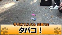 クリープハイプの 色んな意味で優しく包んでくれますか の歌詞 Yahoo 知恵袋