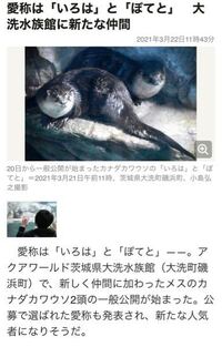 まふまふさんと一緒に住んでいる猫は いろは と ぽてと という名前です Yahoo 知恵袋