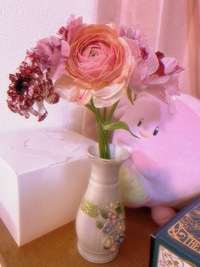 頂いた花なのですが 花言葉を調べたくても名前がわからず調べられません Yahoo 知恵袋