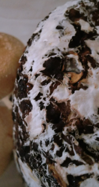 椎茸栽培キットについてです 3回目が終わり収穫しようと思ったら白っぽいも Yahoo 知恵袋