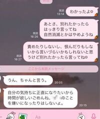 この後にわたしが私も 相手の名前 のこと嫌いじゃないよ って軽い感じで送った Yahoo 知恵袋