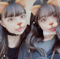このうさぎとにんじんの加工ってどのアプリにありますか B Yahoo 知恵袋