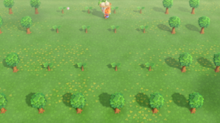 あつまれどうぶつの森 あつ森の事なんですが 同じ日にフルーツの木を沢山の植 Yahoo 知恵袋