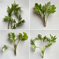 庭のヨモギについて たくさん生えるので良く摘んで食べているのですが Yahoo 知恵袋