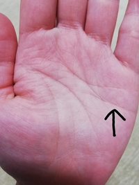 手相に詳しい方お願い致します 感情線の下にある画像の線はなんの線なのでしょうか Yahoo 知恵袋