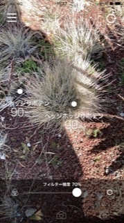 ポケモンホームに引越しをするためにポケモンバンクを使おうとしたのですが Yahoo 知恵袋