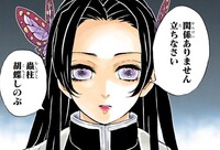 鬼滅の刃のカナエさんの蝶のヘアアクセサリーの色って紫と緑どちらが正しいんですか Yahoo 知恵袋