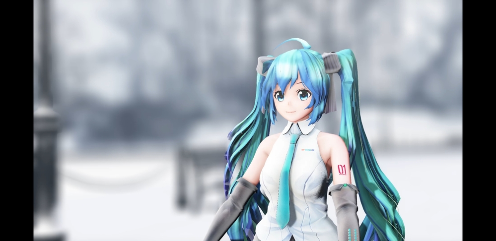 先日raymmdについて質問した者ですが、回答してもらった通りに設定して 