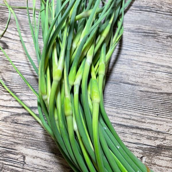 この野菜はなんの野菜でしょうか ニンニクの芽ですが膨らんでる所を食べ Yahoo 知恵袋