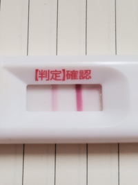 ドゥーテストフライング 妊娠検査薬ドゥテスト&チェックワンのフライング検査で陽性反応が出た時期