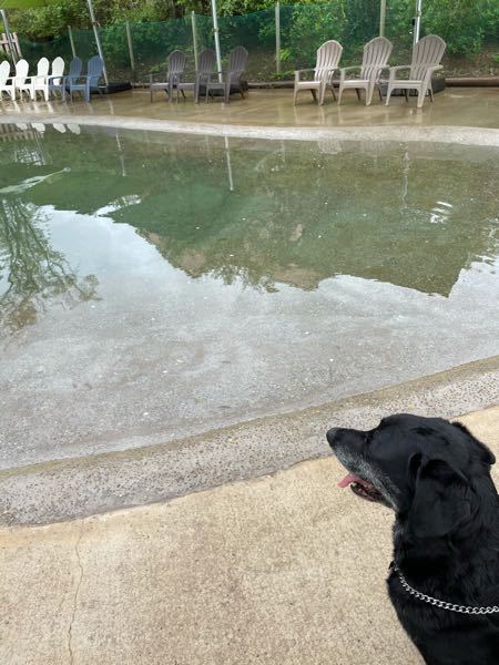 ホームセンターにペットを連れていくのは非常識ですか ちなみに小型犬ですワクチ Yahoo 知恵袋